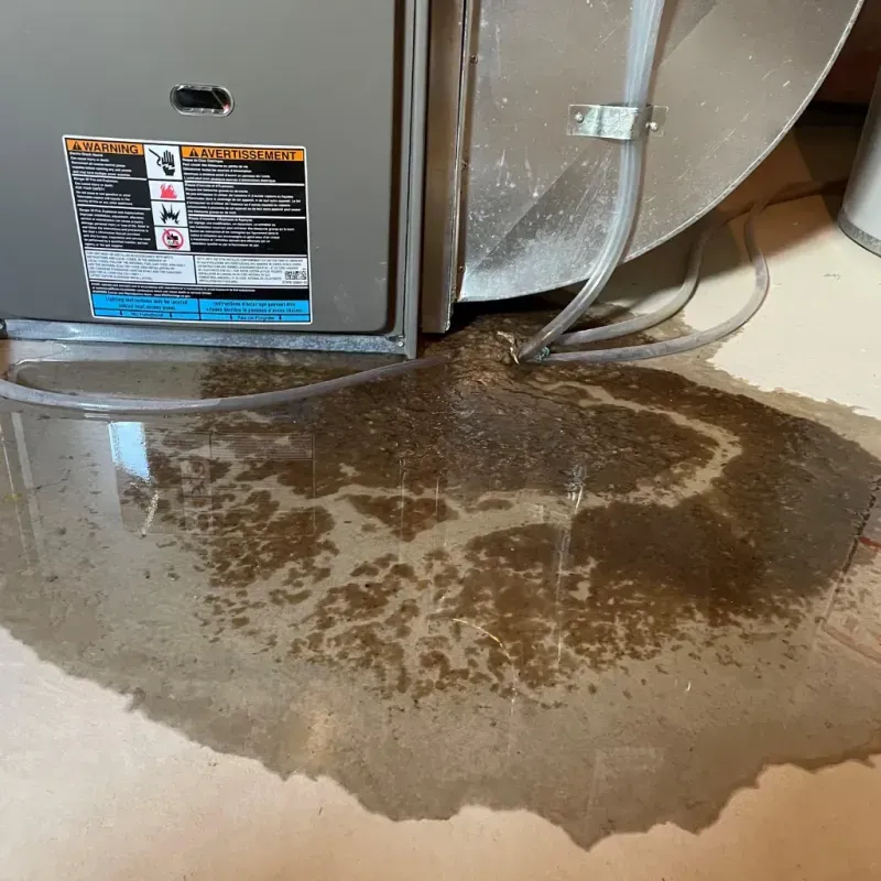 Appliance Leak Cleanup in Sedan, KS